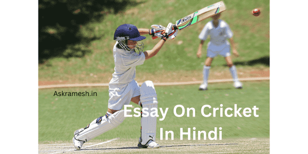 Essay on Cricket in Hindi